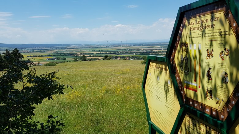 Lehrpfad am Gipfelberg, Hof am Leithaberge, © Felix Medwenitsch