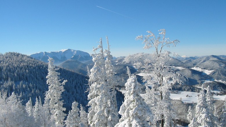 Naturpark Hohe Wand, © Naturpark Hohe Wand