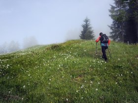 Opponitz Wandern, © Rudi Kefer