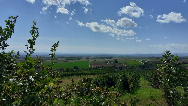 Riedweg, © Verena Schnatter