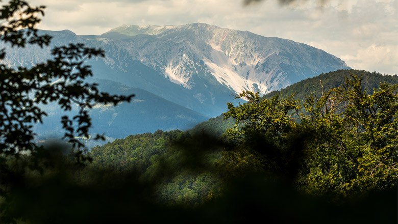 Den Schneeberg im Blick, © Wiener Alpen, Christian Kremsl