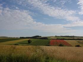 Blick Richtung Pleßberg-Ottenschlag, © Martina Fuchs-Köck