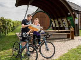 Kurzer Abstecher zum Erlebnisweingartl in Hohenruppersdorf, © Weinviertel Tourismus / Herbst