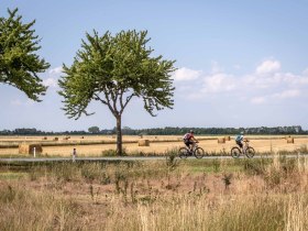 Marchfeldkanalradweg, © Weinviertel Tourismus GmbH