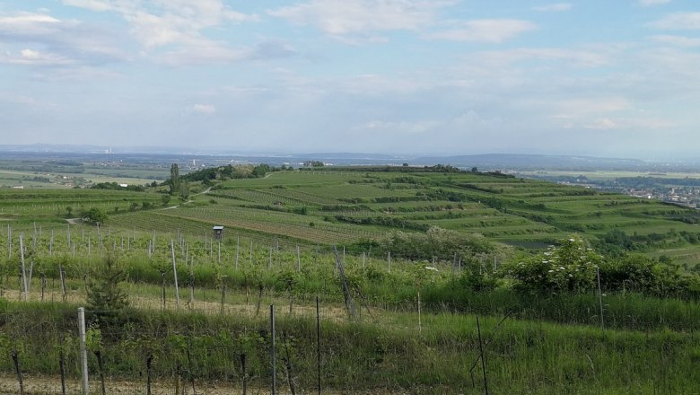 Gaisberg, © Roman Zöchlinger