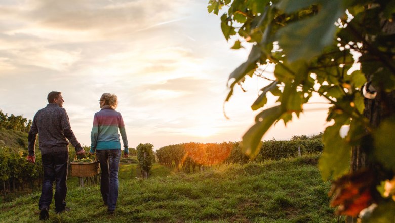 Urlop na szlaku winnym w Dolnej Austrii, © Niederösterreich-Werbung/Doris Schwarz-König