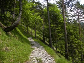 Almsteig Sonnwendstein, © Wiener Alpen in Niederösterreich