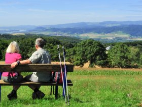 Ausblick vom Halterberg, © Mostviertel