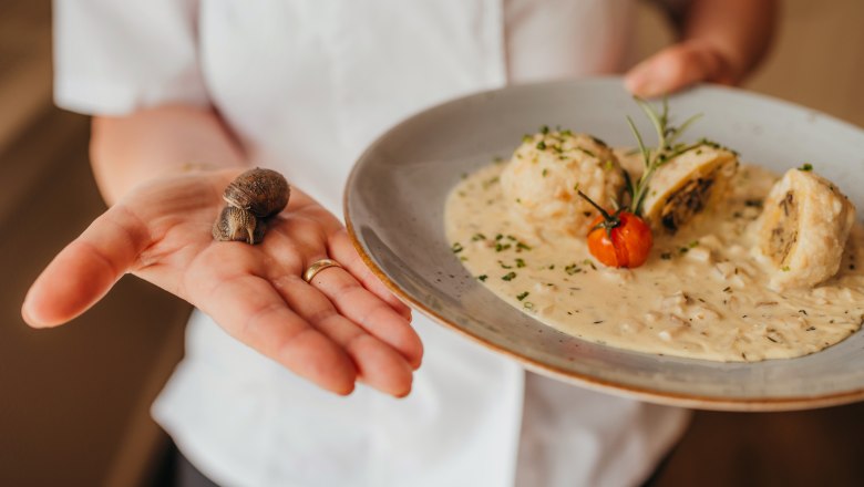 Weinbergschnecke – Spezialität des Hauses, © Niederösterreich Werbung/Daniela Führer