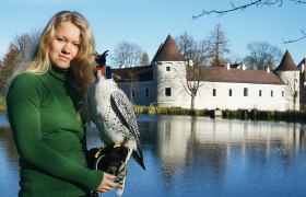 Lower Austrian Falconry and Bird of Prey Centre, © NÖ Falknerei- und Greifvogelzentrum