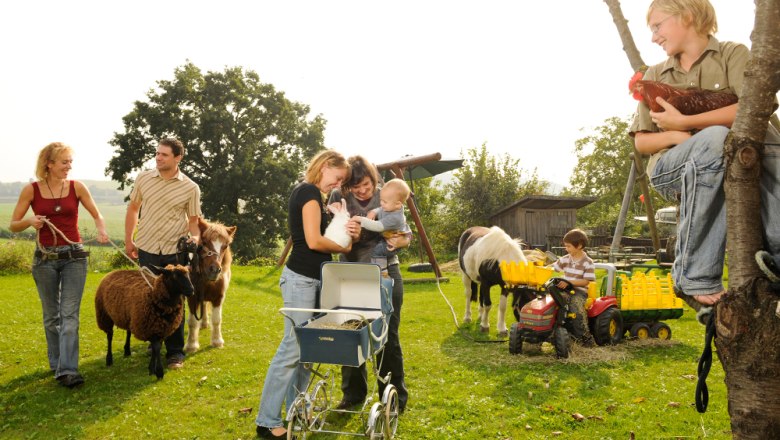 Tiere Kerndlerhof, © Kerndlerhof