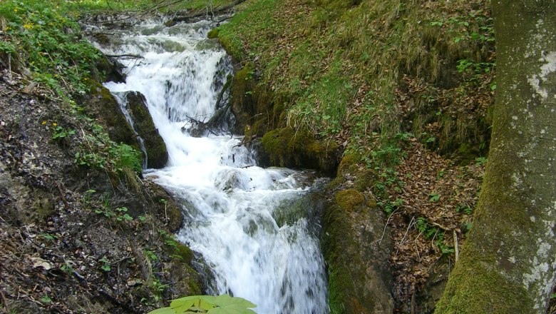 Schleierwasserfall Hohenberg, © Marktgemeinde Hohenberg