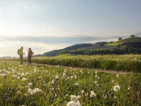 Wandern auf den Buckln bei Bad Schönau, © Wiener Alpen in Niederösterreich