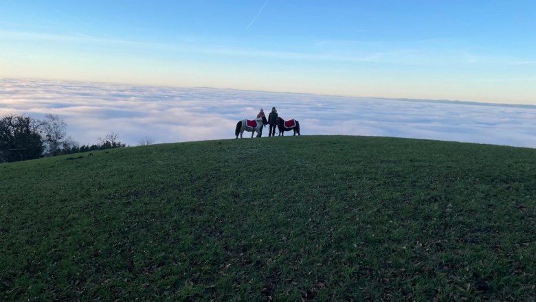 Ponys am Landhaus Aigner, © Landhaus Aigner