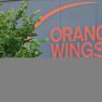 Orange Wings Logo, © Wiener Alpen/Katrin Zeleny