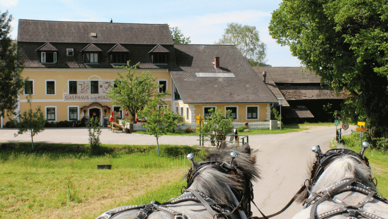 Gasthaus & Ponyhof Holzmühle, © Birgit Taxböck