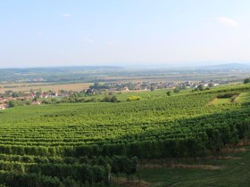 Ein sagenhafter Ausblick über das Traisental, © Melanie Pöchacker