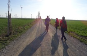 Wandergruppe am Jakobsweg, © Donau Niederösterreich - Tourismusbüro Carnuntum-Marchfeld