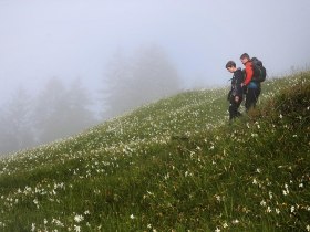 Opponitz Wandern, © Rudi Kefer