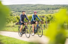 Radfahren durch die Weingärten, © Weinviertel Tourismus GmbH