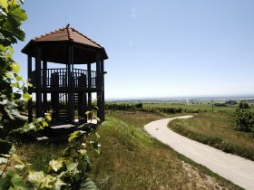 Aussichtswarte Fels am Wagram, © Donau Niederösterreich - Kamptal-Wagram-Tullner Donauraum