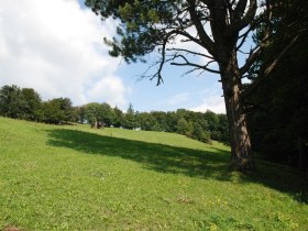 Wiese unterm Mittagskogel, © Wienerwald