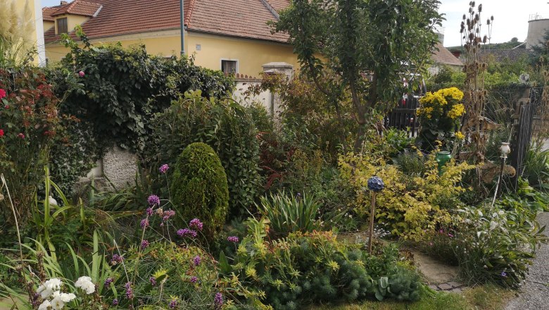 Scherben, Blüten, Blatt und Feder, © "Natur im Garten"