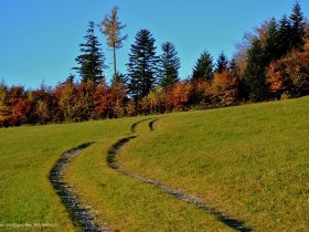 Bischofshöhe, © Mostviertel