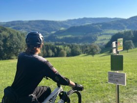 Elsbeere Singletrail, © MTB-Initiative St.Pölten