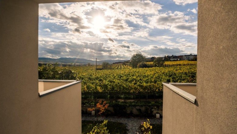 Ausblick auf die Weinberge, © Leindl