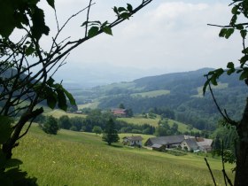 Elsbeerweg zur Gföhlberghütte, © wf-Fotos: weinfranz.at