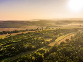 Fels am Wagram „Tut gut!“- Wanderweg Route 3, © Donau Niederösterreich - Kamptal-Wagram-Tullner Donauraum