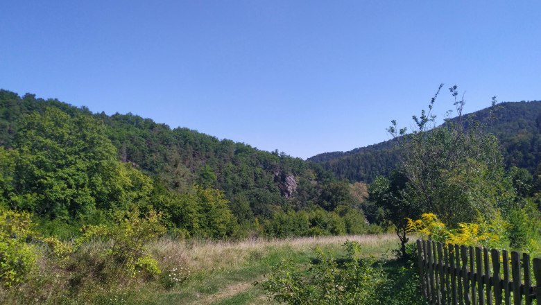 Am Weg zum Heimliches Gericht, © Donau NÖ Tourismus