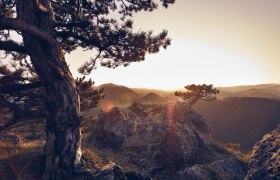 Peilstein Erlebnissweg Triestingtal, © Wienerwald Tourismus GmbH / Andreas Hofer