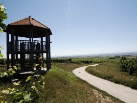 Aussichtswarte Fels am Wagram, © Donau Niederösterreich - Kamptal-Wagram-Tullner Donauraum