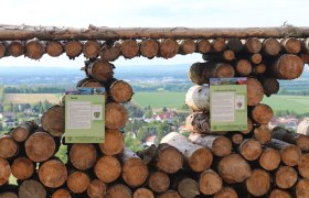 Ausblick Balkon Tullnerfeld, © Gemeinde Tulbing, Thomas Gattinger