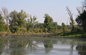 Auwanderweg, © Alfred Knasmillner