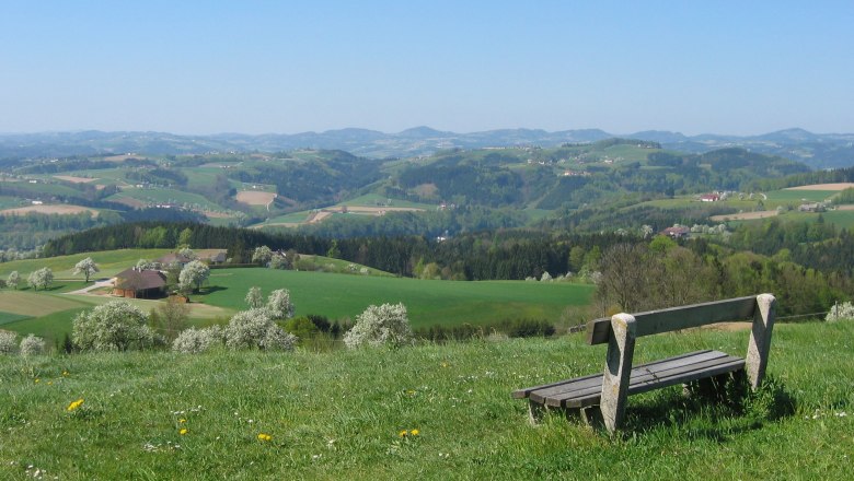 Bankerl am Kollmitzberg, © Bianka Heiland