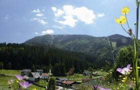 Sommer in Lackenhof am Ötscher, © ÖTV