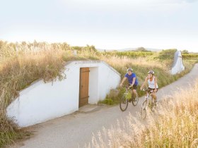 Radeln durchs Weinviertel, © Niederösterreich Werbung / Astrid Bartl