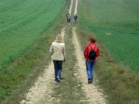 Rundwanderweg Großweikersdorf, © Marktgemeinde Großweikersdorf