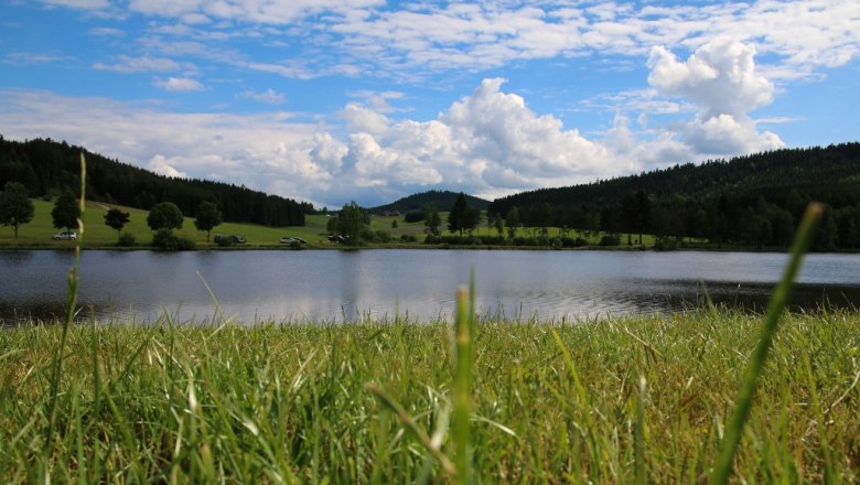 Frauenwieserteich, © Ing. Walter Bröderbauer