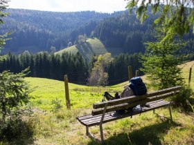 Alpl - Roseggers Waldheimat, © Walter Laschober