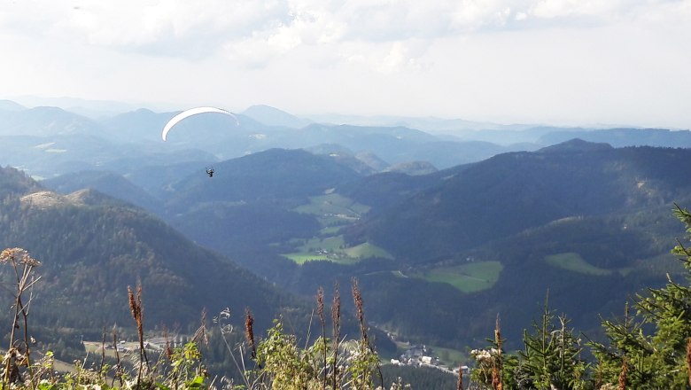 Paragleiter am Ötscher, © Karas