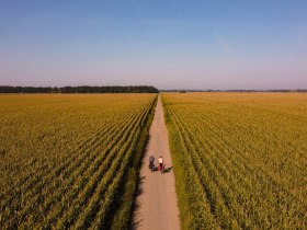 Radeln Sie durch die ruhige Landschaft, © Niederösterreich Werbung / Franziska Consolati