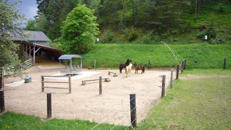 Pferdehof Auslauf, © Pferdehof Kurzmann