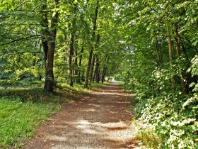 Akademiepark Wiener Neustadt, © Wiener Alpen/Katrin Zeleny