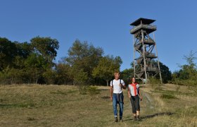 Königswarte Berg, VIA.CARNUNTUM., © Donau Niederösterreich, Steve Haider