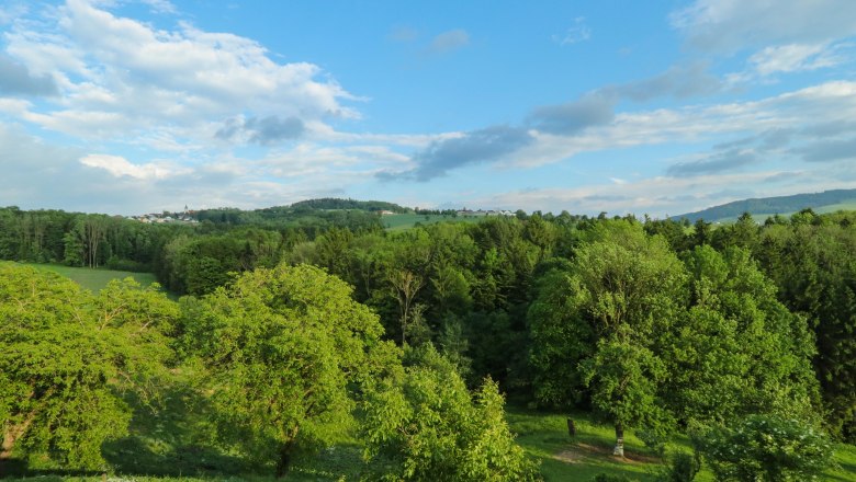 Traumhafter Ausblick ins Mostviertel, © Auer Hannes