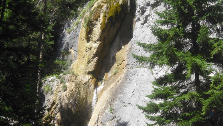 Sebastian-Wasserfall Puchberg, © Victoria Weinberger